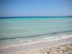 8) 09 Aprile 2007 - Il primo bagno della stagione ! San Vito Lo Capo